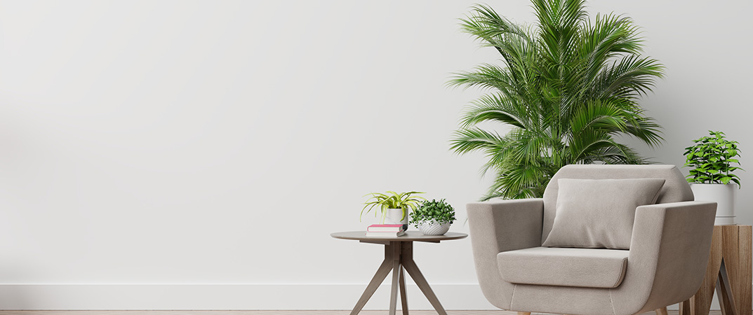 Image hover effect image